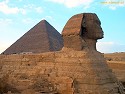 egipt-11 Czartery